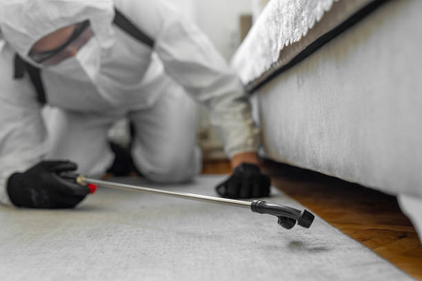 Professional Termite Control technician working in Hawley, MN