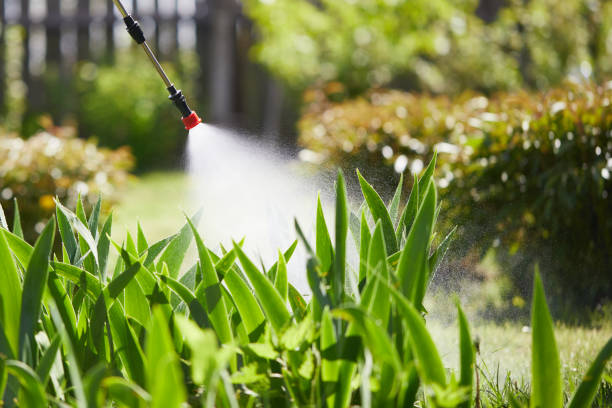24/7 Emergency Termite Control experts in Hawley, MN
