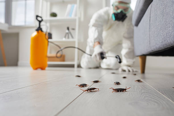 Trusted Fumigation Services service in Hawley, MN - Nex Pest Control