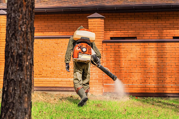 Trusted Cockroach Control service in Hawley, MN - Nex Pest Control